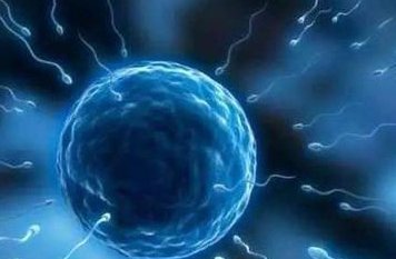 美国试管婴儿费用一览，全程费用及影响因素详析