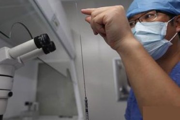 试管二超胎停的原因是什么(试管一超二超三超检查什么)