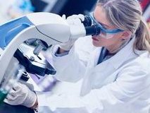 广东中山最可靠的助孕机构分别是哪几家？