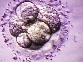 上海做三代试管婴儿哪家医院？