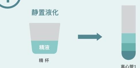 赴泰国生殖医院做试管婴儿可以生孩子吗？大概得准备多少钱？