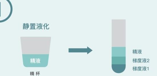 去武汉做三代试管要准备多少钱？武汉做三代试管比较好的医院是哪家？