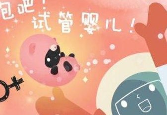 2026年国内无结婚证如何做试管？嘉兴可以做吗？